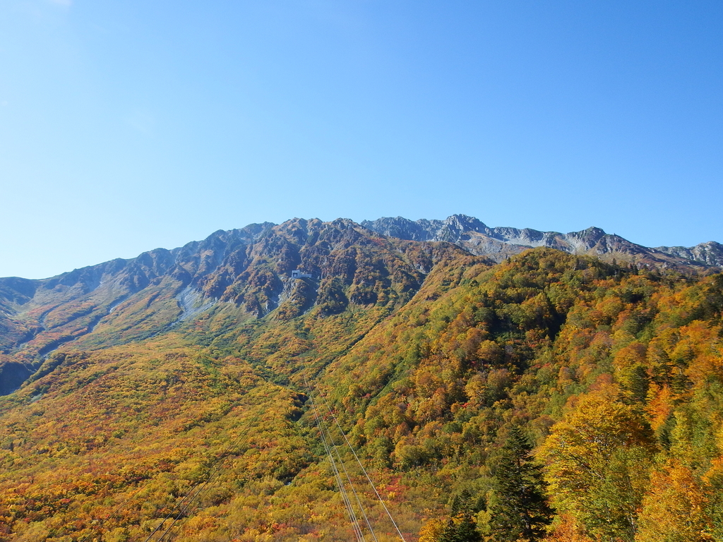 f:id:otonajoshi:20181003133943j:plain