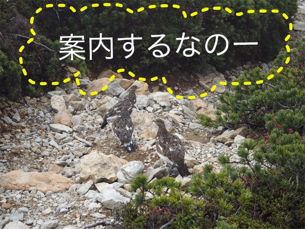 f:id:otonajoshi:20181007073223j:image