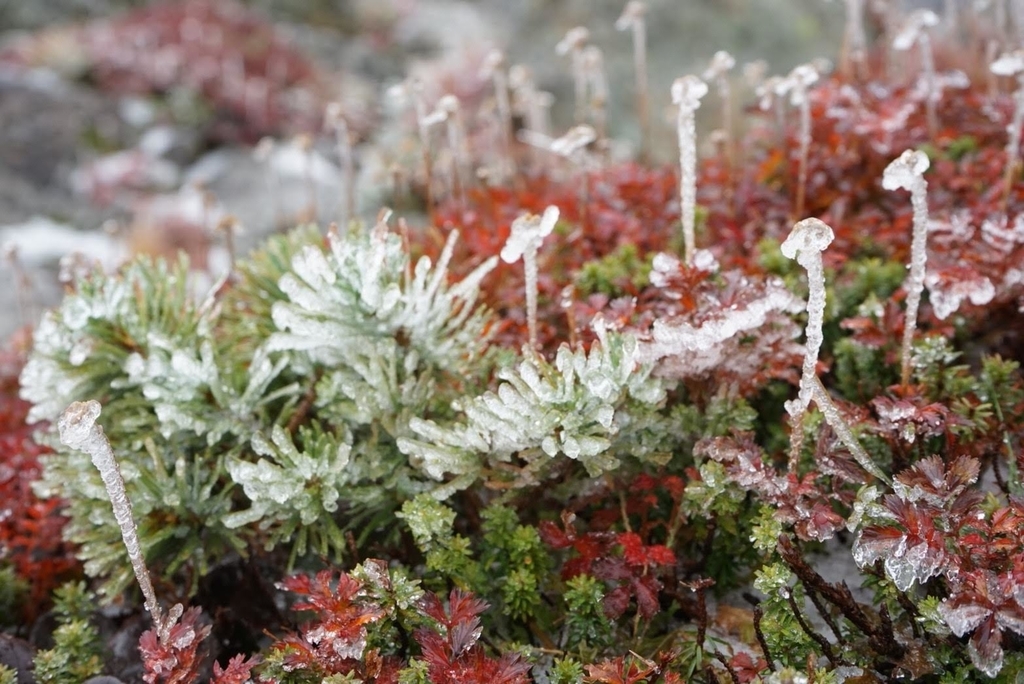 f:id:otonajoshi:20181007155834j:plain