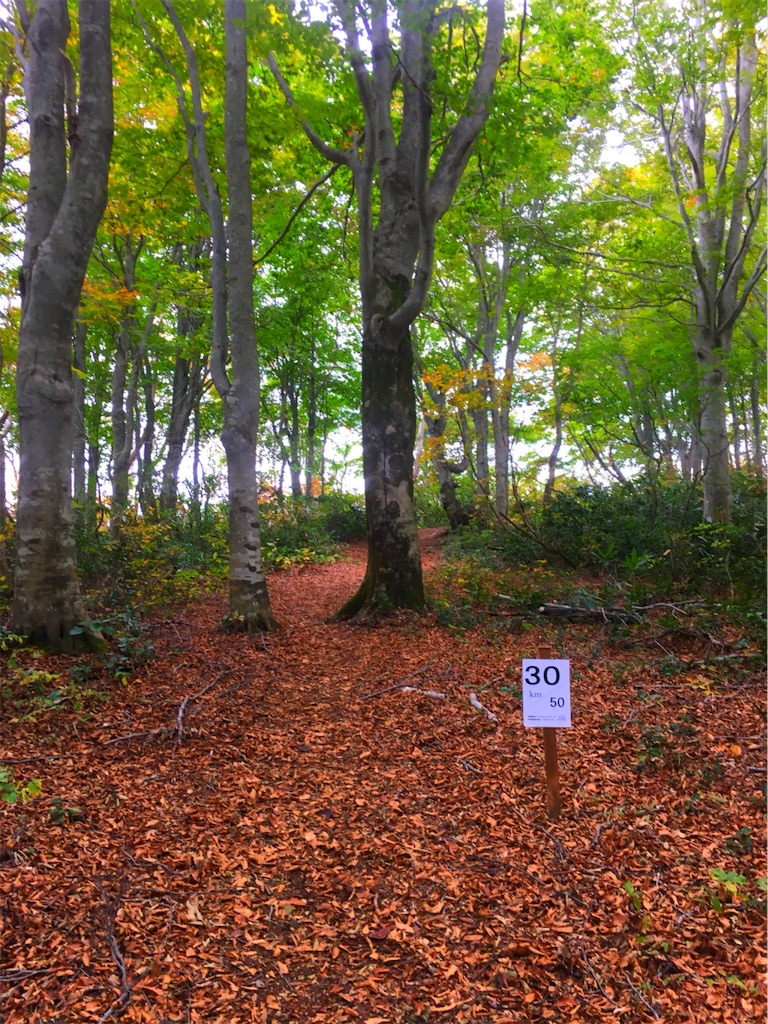 f:id:otonajoshi:20181023001513j:image f:id:otonajoshi:20181023001513j:image