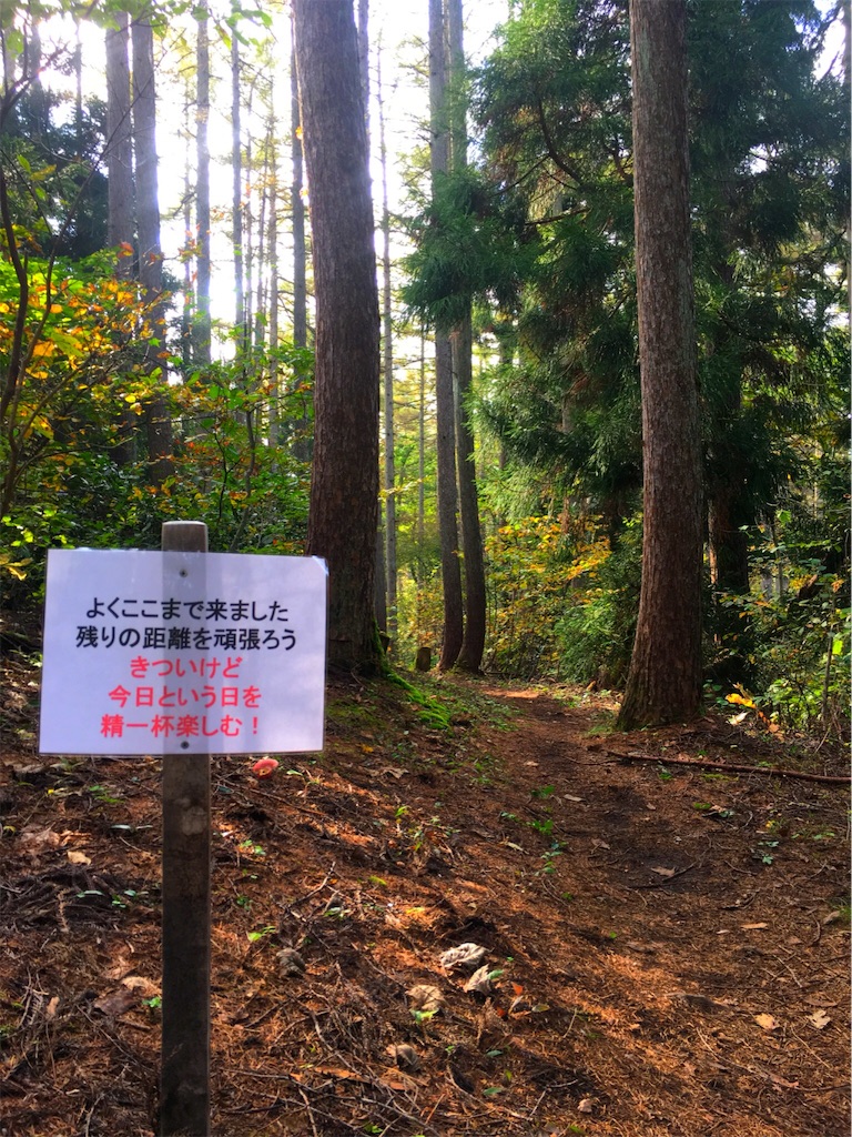 f:id:otonajoshi:20181023003804j:image f:id:otonajoshi:20181023003804j:image