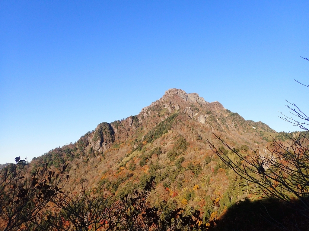 f:id:otonajoshi:20181025071512j:plain