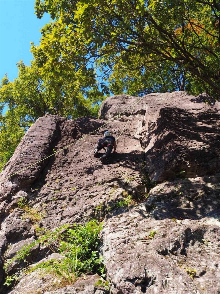 f:id:otonajoshi:20181101013138j:image f:id:otonajoshi:20181101013138j:image