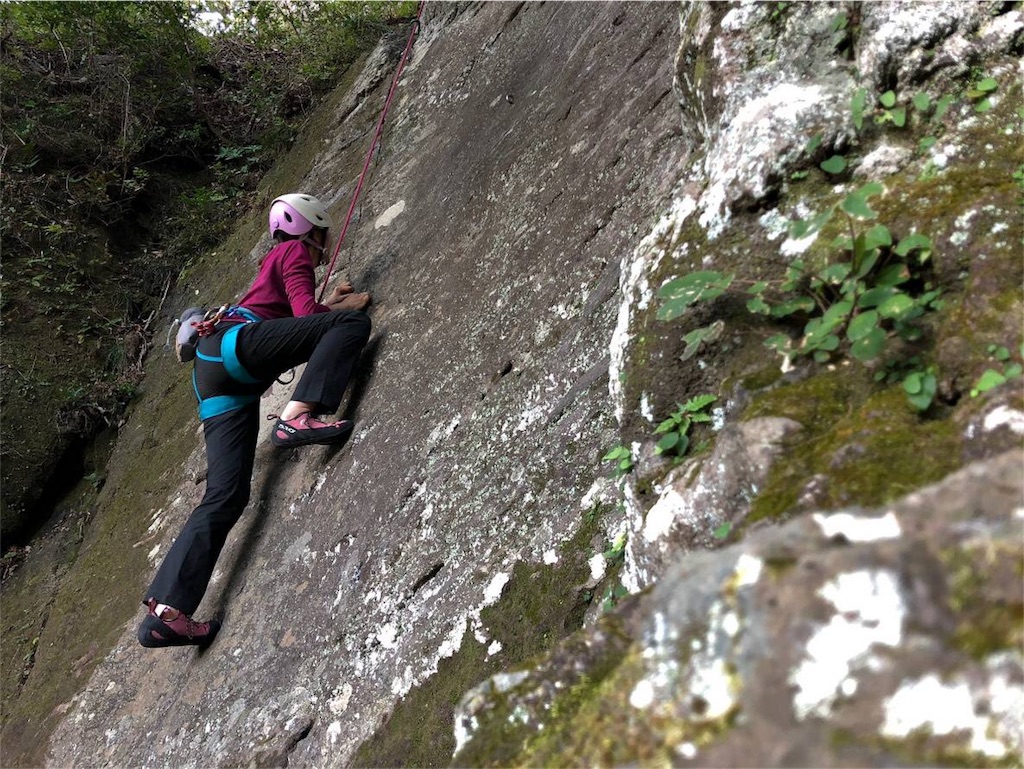 f:id:otonajoshi:20181101013222j:image f:id:otonajoshi:20181101013222j:image