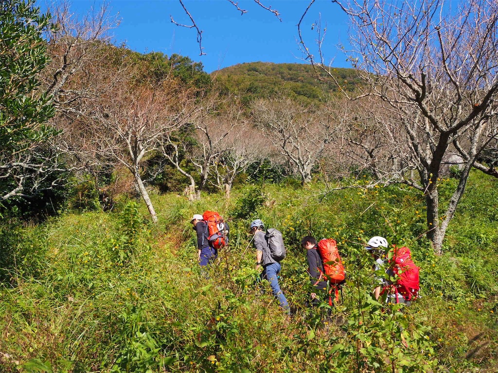 f:id:otonajoshi:20181101013527j:image f:id:otonajoshi:20181101013527j:image