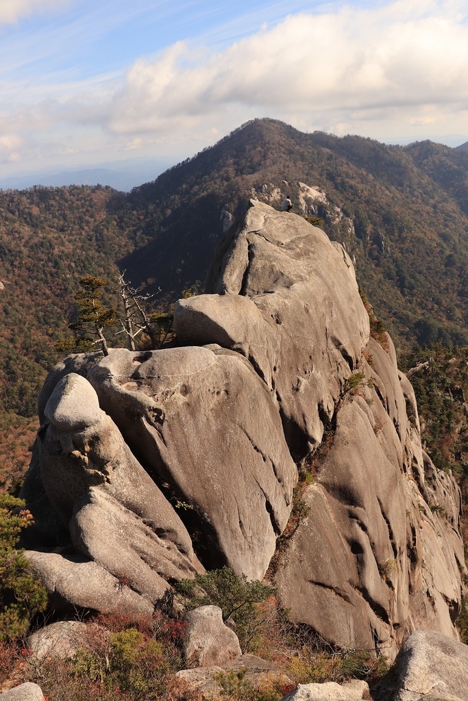 f:id:otonajoshi:20181101093625j:plain