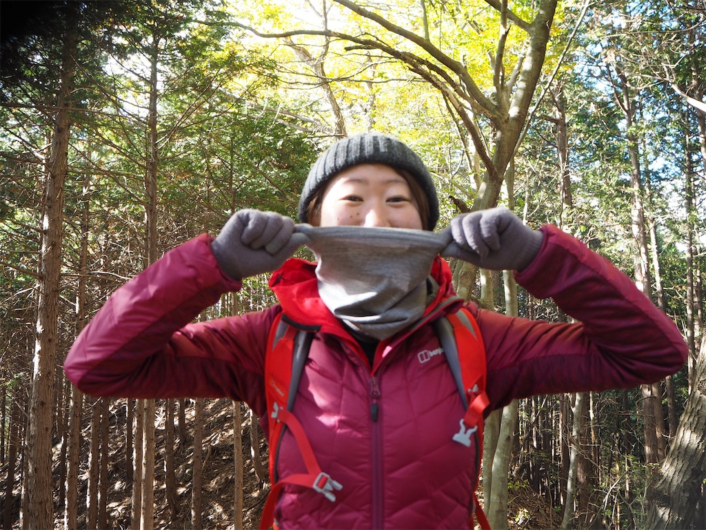 f:id:otonajoshi:20181101105332j:image