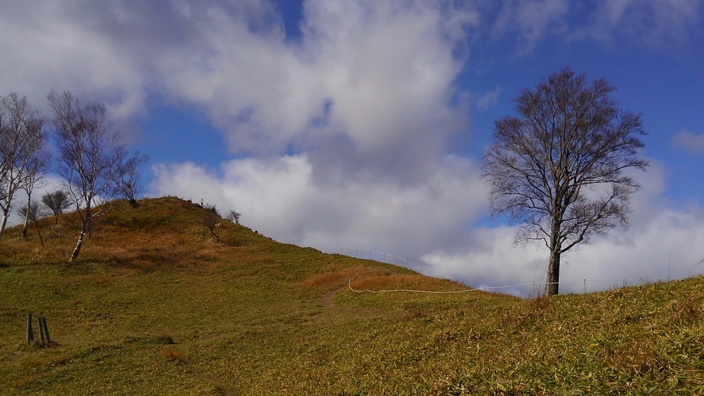 f:id:otonajoshi:20181101120050j:plain