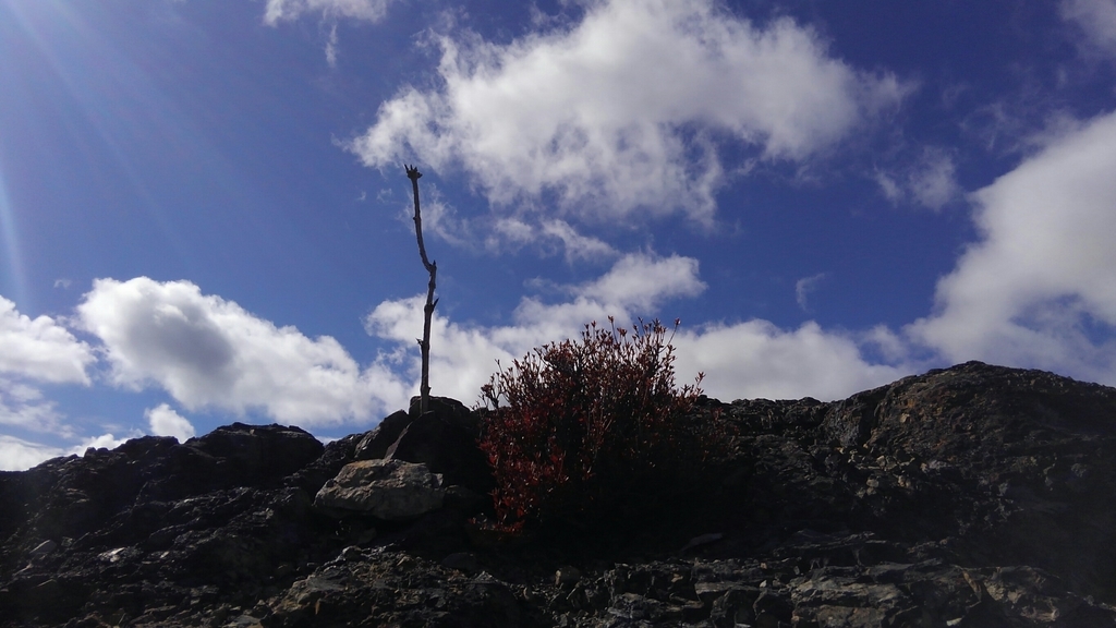 f:id:otonajoshi:20181101120331j:plain