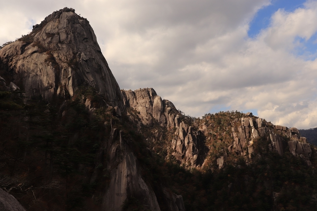 f:id:otonajoshi:20181101132438j:plain