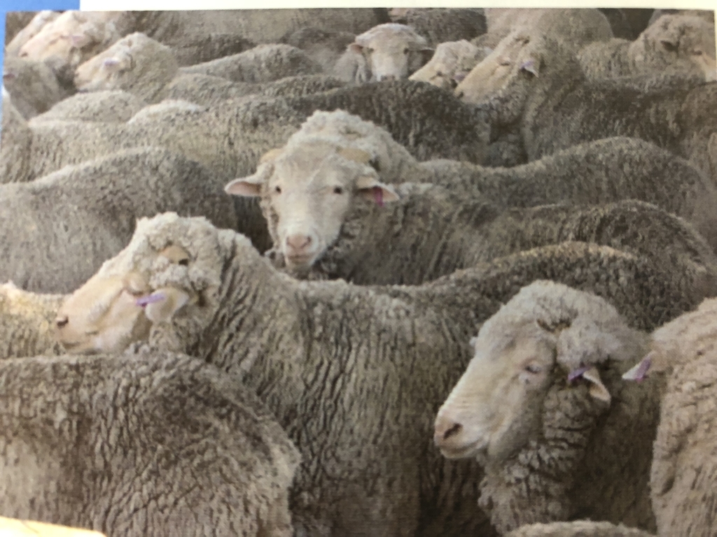 f:id:otonajoshi:20181127113154j:plain