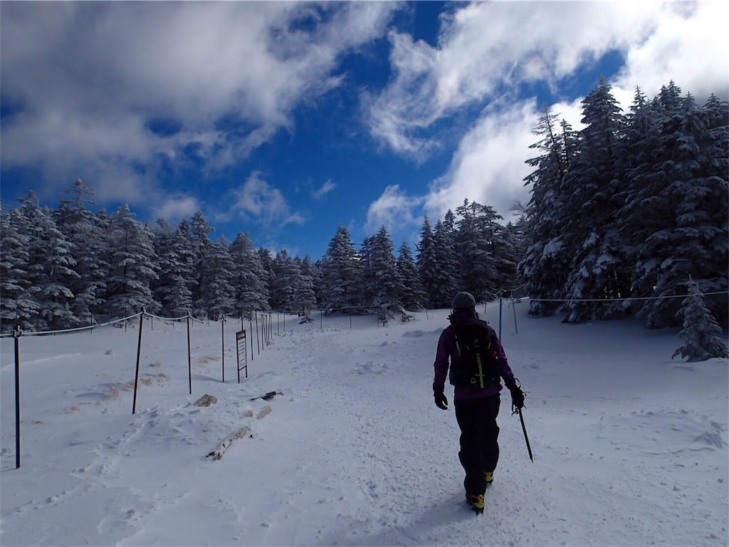 f:id:otonajoshi:20181210135812j:image f:id:otonajoshi:20181210135812j:image