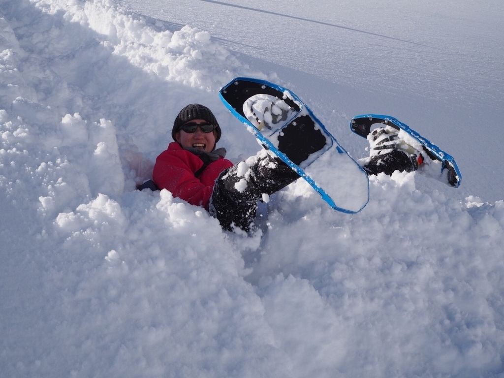 f:id:otonajoshi:20190127193403j:plain