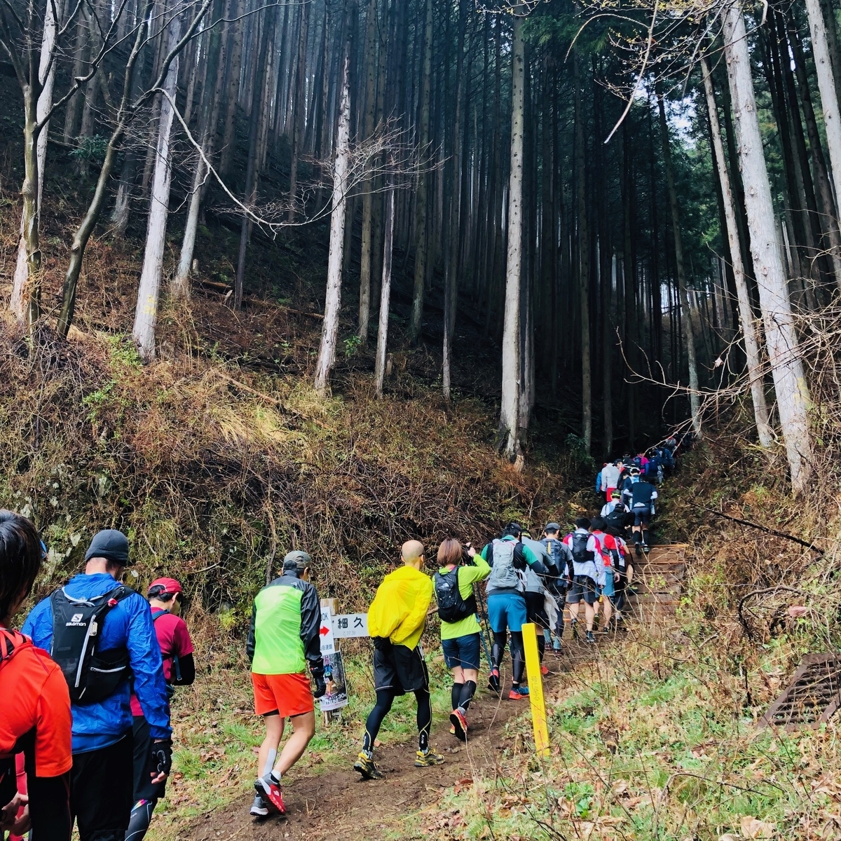 f:id:otonajoshi:20190331095734j:plain