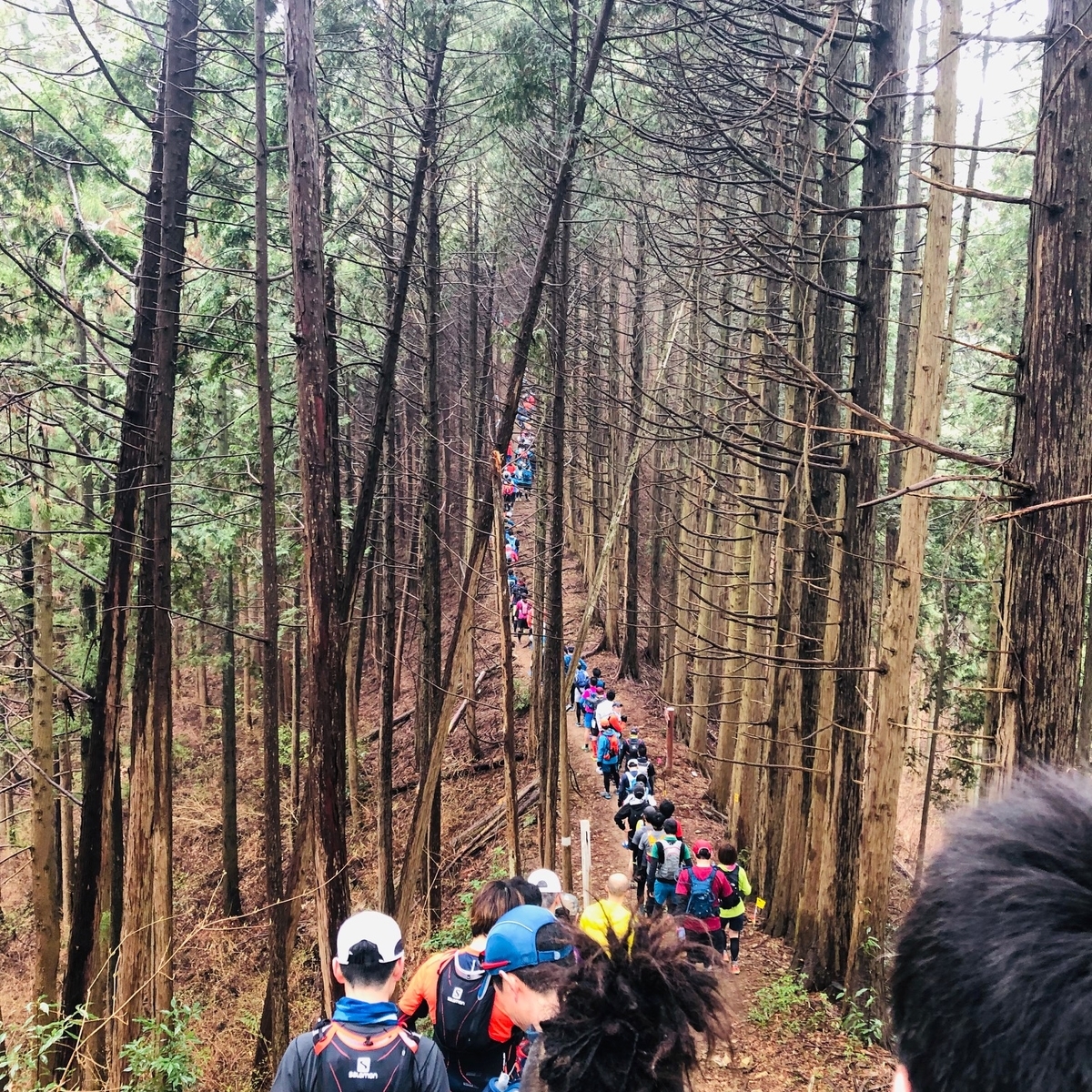 f:id:otonajoshi:20190331101011j:plain