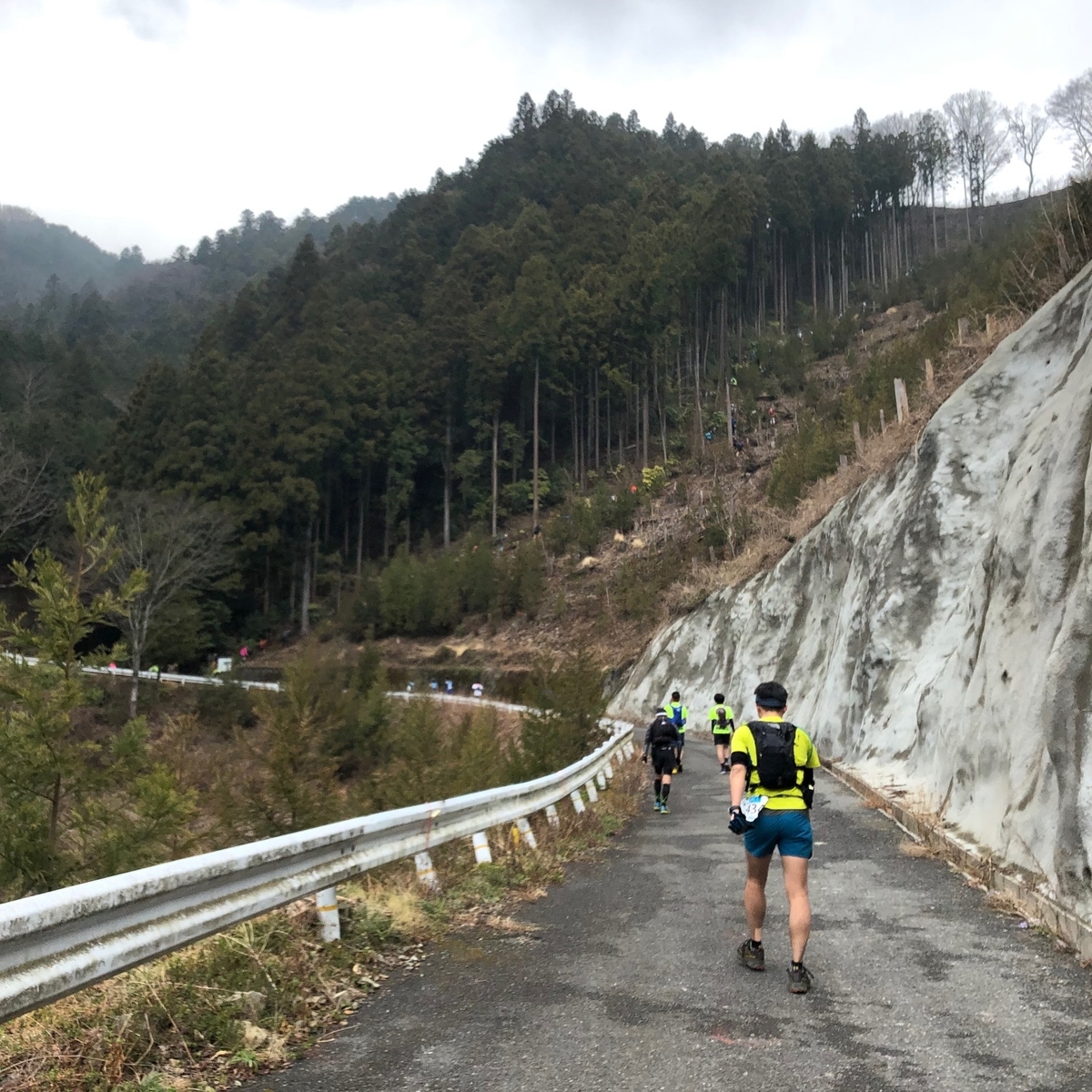 f:id:otonajoshi:20190331123340j:plain