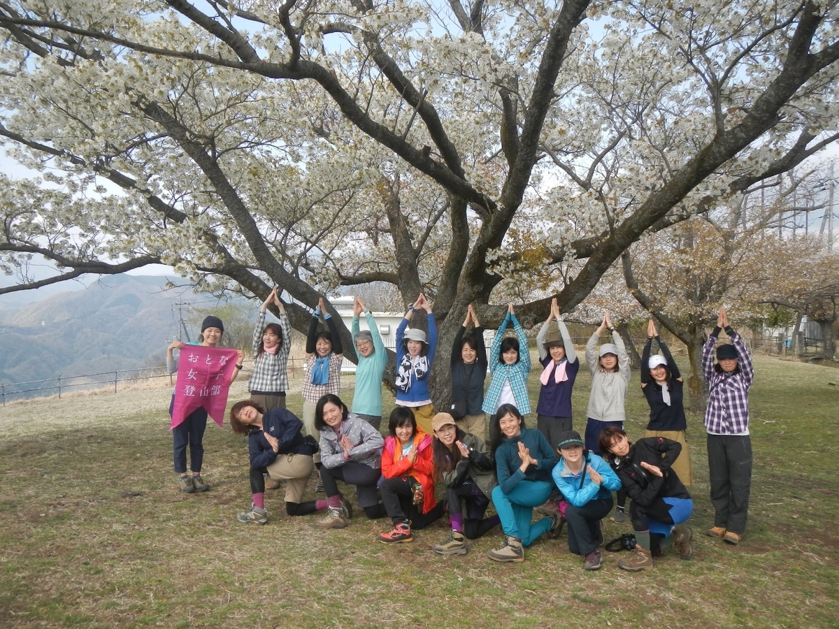 f:id:otonajoshi:20190421142352j:plain