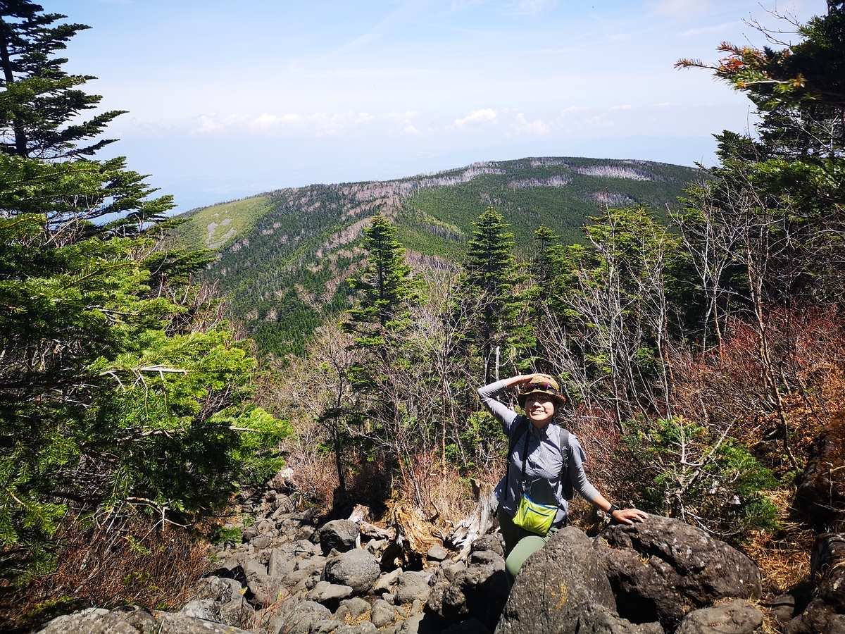 f:id:otonajoshi:20190606110202j:plain f:id:otonajoshi:20190606110202j:plain