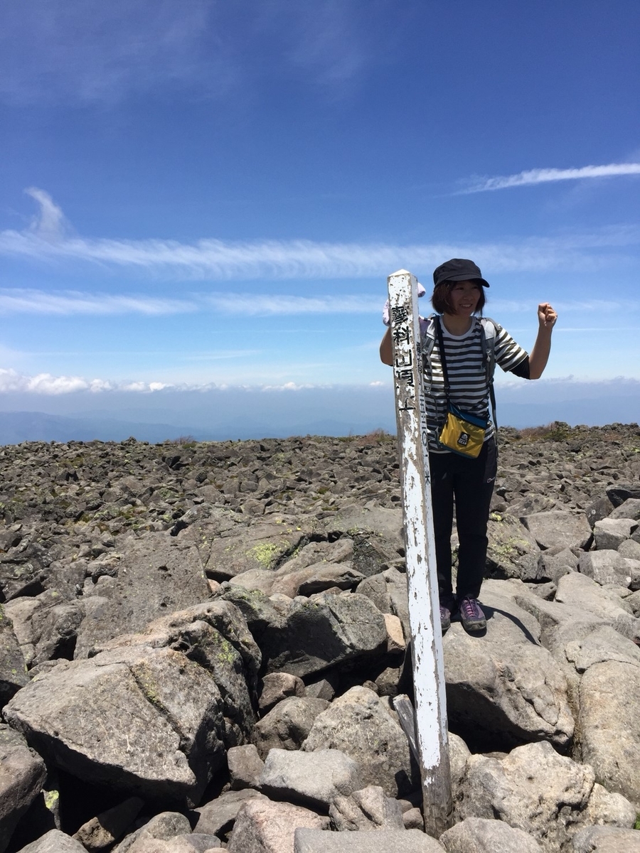 f:id:otonajoshi:20190606215619j:plain f:id:otonajoshi:20190606215619j:plain