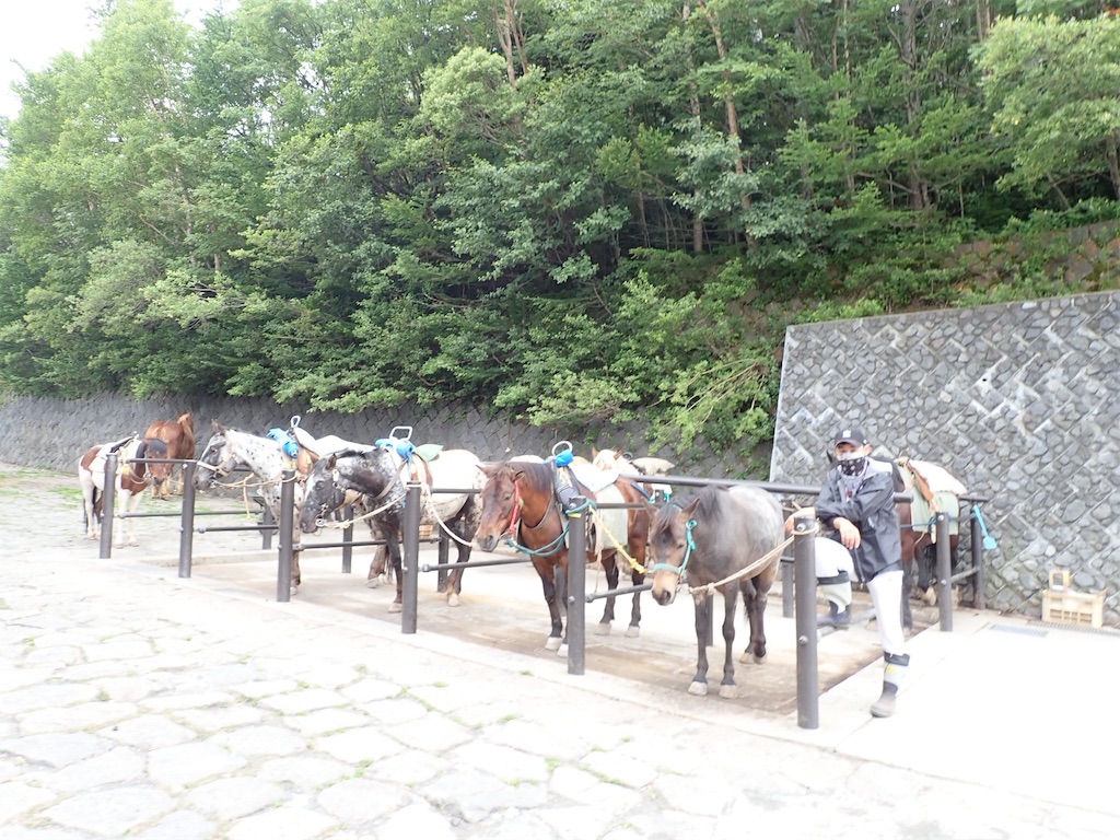 f:id:otonajoshi:20190808120024j:image