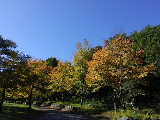 f:id:otonajoshi:20191007210004j:image