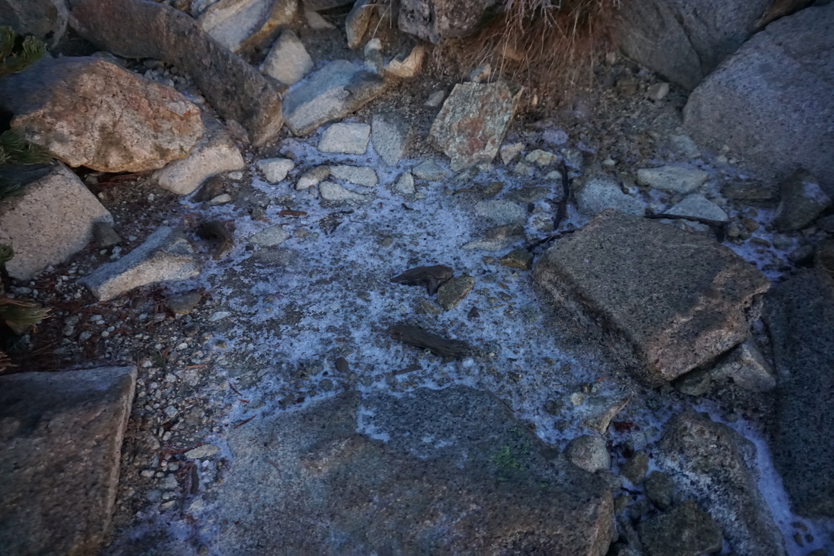 f:id:otonajoshi:20191009053712j:plain f:id:otonajoshi:20191009053712j:plain