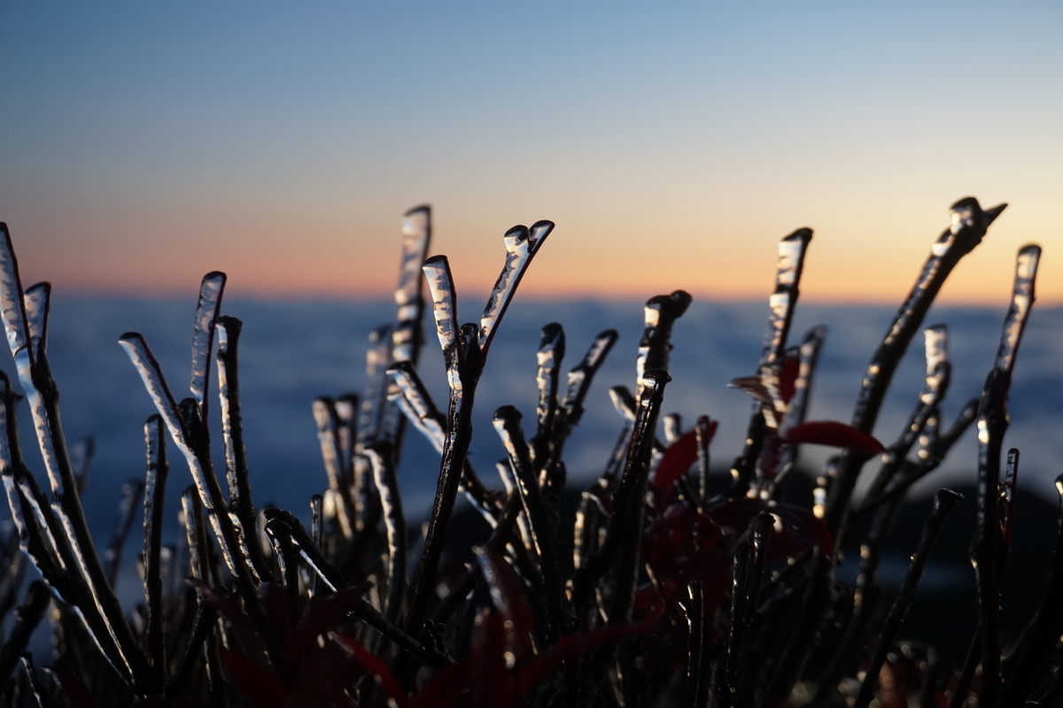 f:id:otonajoshi:20191009054140j:plain f:id:otonajoshi:20191009054140j:plain