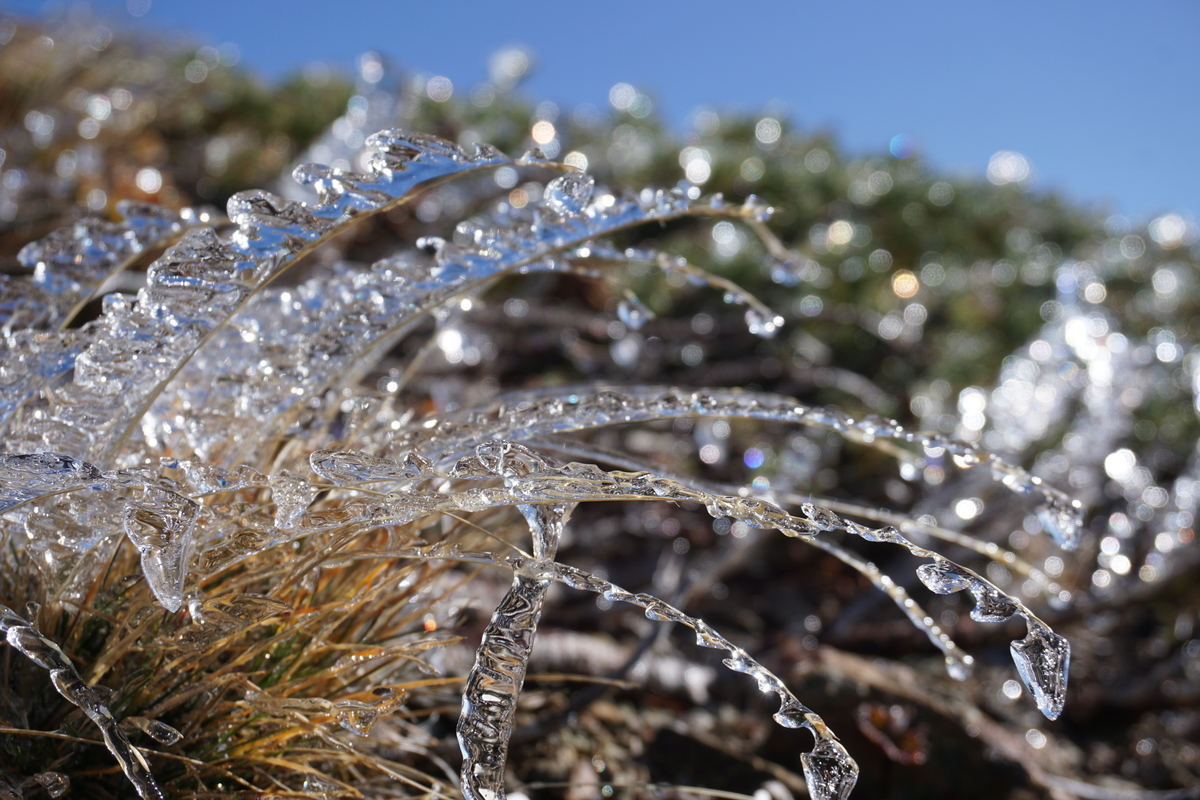 f:id:otonajoshi:20191009083715j:plain f:id:otonajoshi:20191009083715j:plain