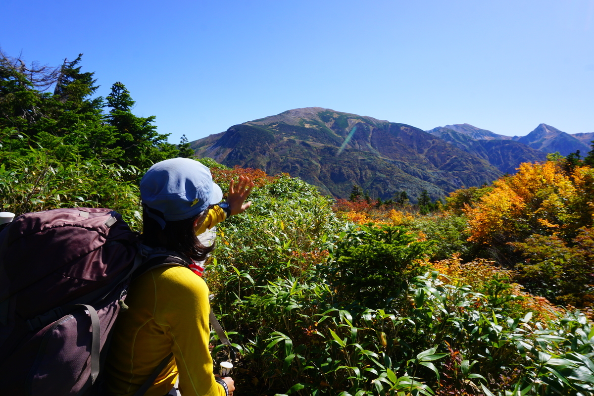 f:id:otonajoshi:20191009114632j:plain f:id:otonajoshi:20191009114632j:plain