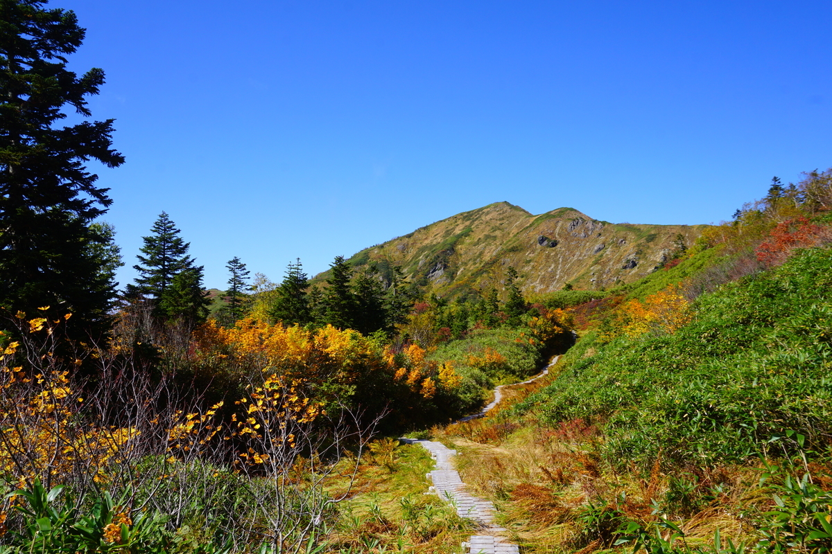 f:id:otonajoshi:20191009115635j:plain f:id:otonajoshi:20191009115635j:plain