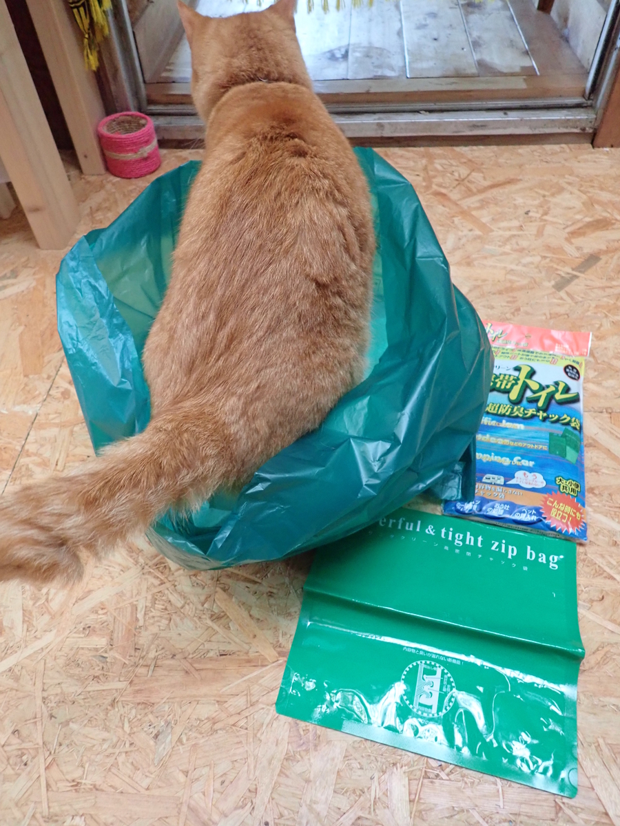 f:id:otonajoshi:20191014100019j:plain