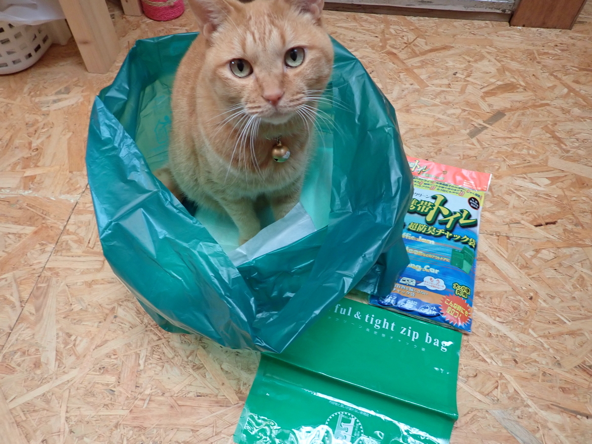 f:id:otonajoshi:20191014100104j:plain