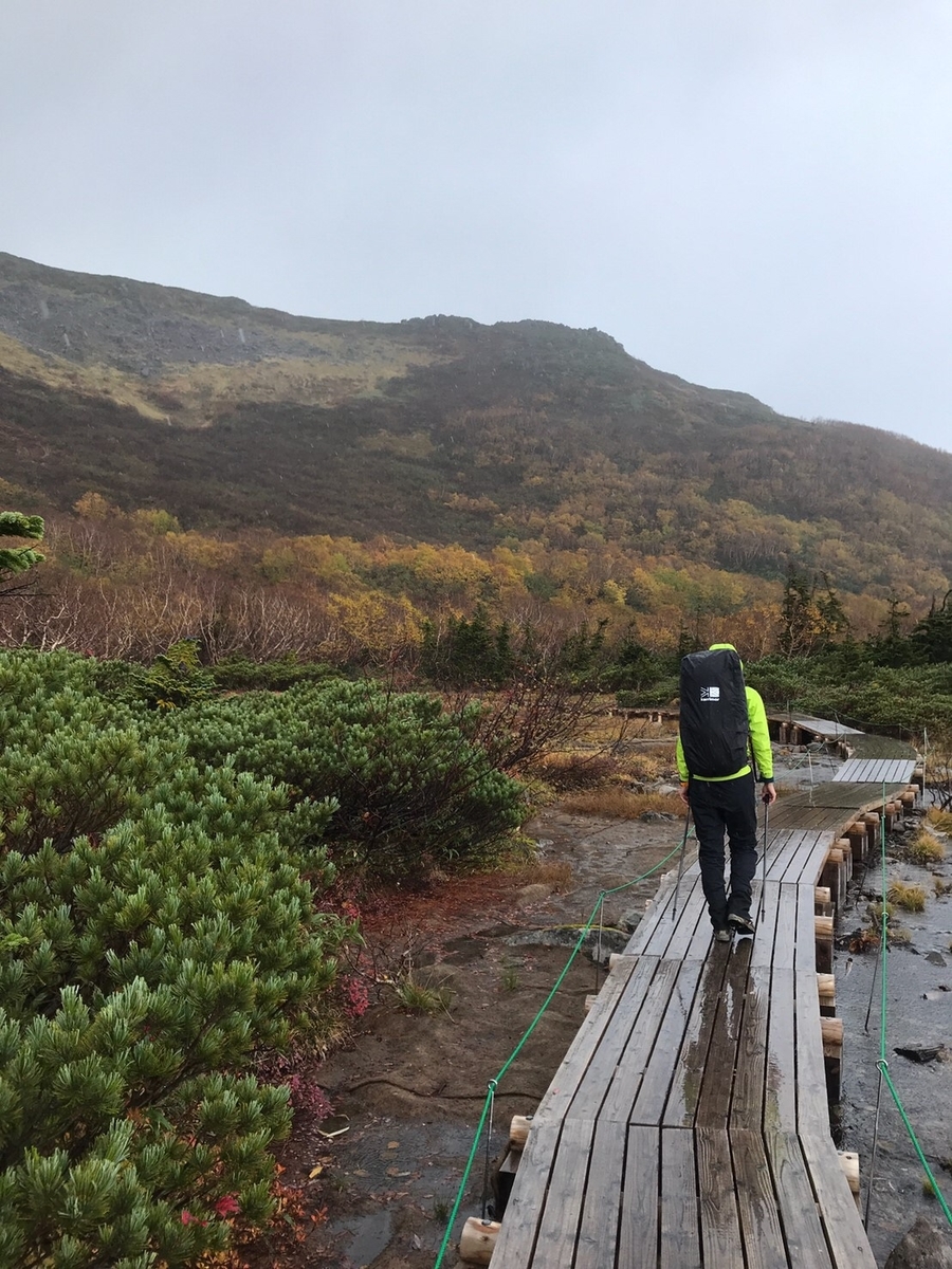 f:id:otonajoshi:20191014171757j:plain f:id:otonajoshi:20191014171757j:plain