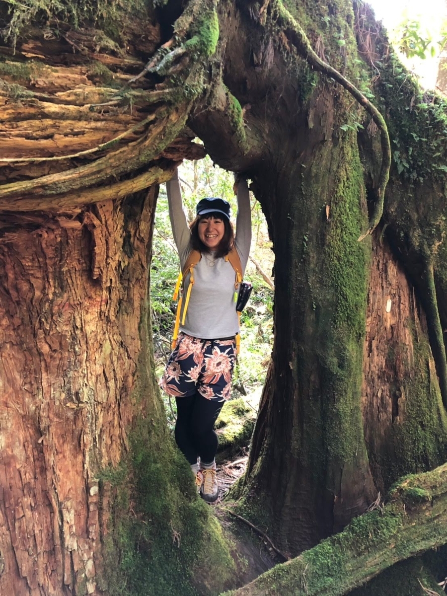 f:id:otonajoshi:20191017194210j:plain f:id:otonajoshi:20191017194210j:plain