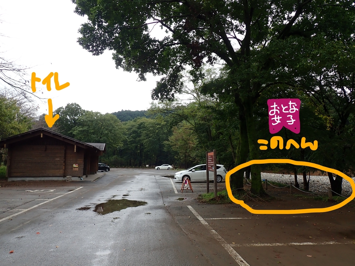 f:id:otonajoshi:20191018153143j:plain