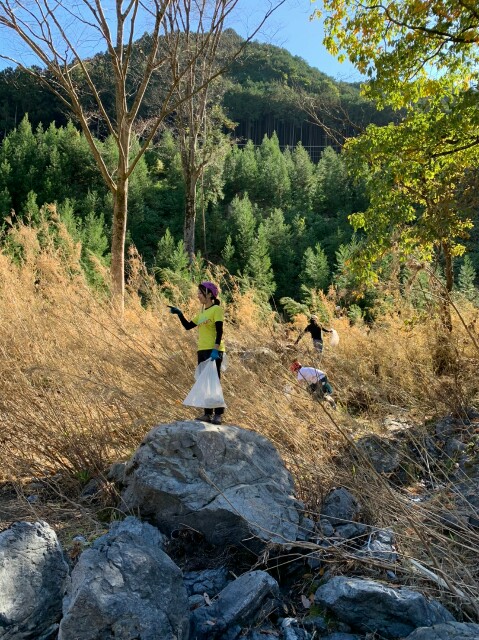 f:id:otonajoshi:20191117102427j:image f:id:otonajoshi:20191117102427j:image