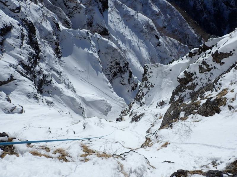 f:id:otonajoshi:20200224171959j:plain f:id:otonajoshi:20200224171959j:plain