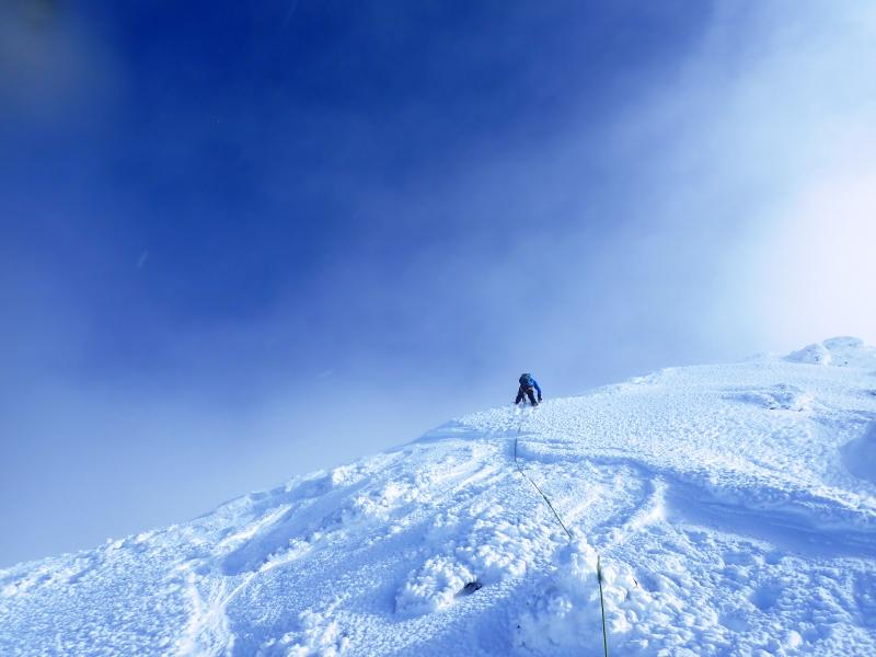 f:id:otonajoshi:20200224172417j:plain f:id:otonajoshi:20200224172417j:plain