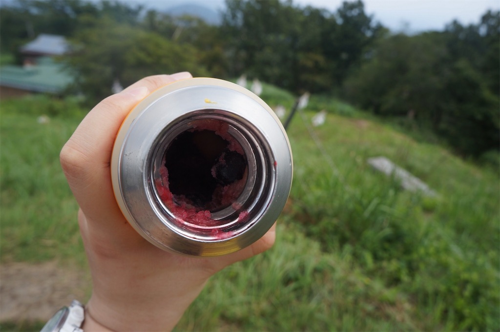 f:id:otonajoshi:20200821075305j:image