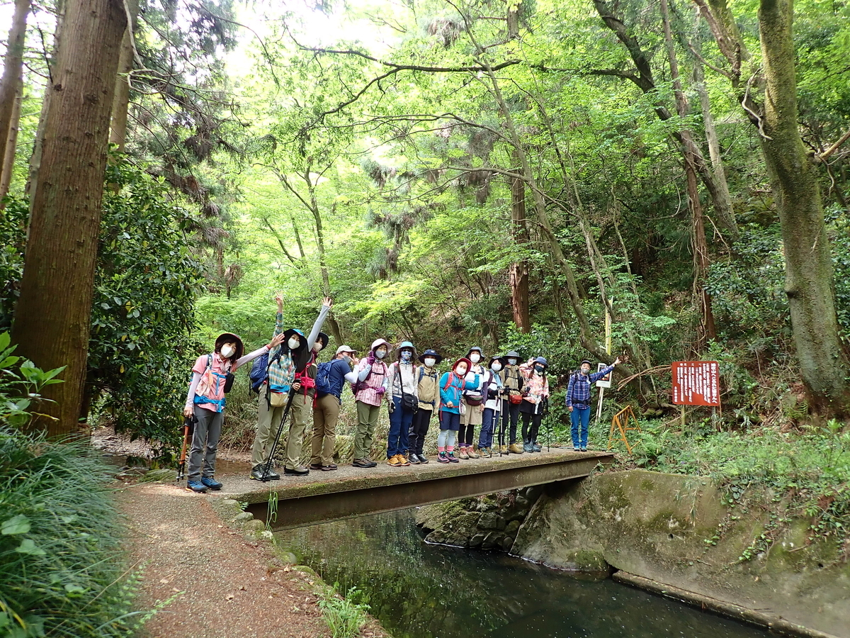 f:id:otonajoshi:20210424093634j:plain