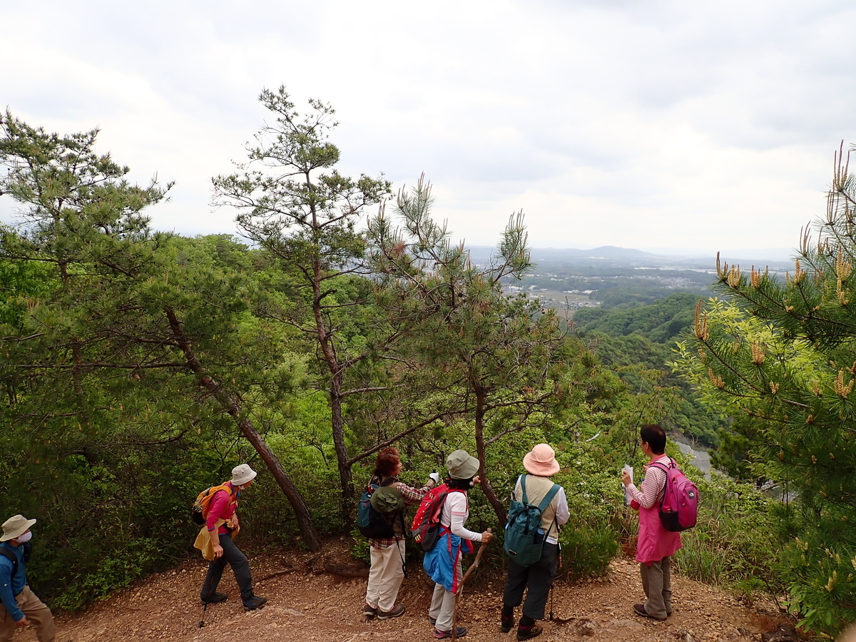 f:id:otonajoshi:20210424101218j:plain