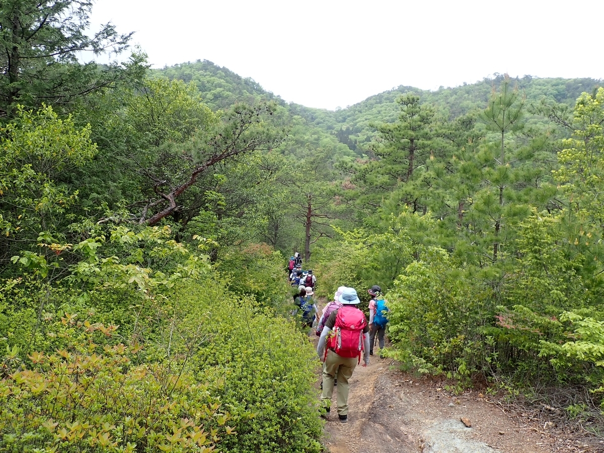 f:id:otonajoshi:20210424112026j:plain