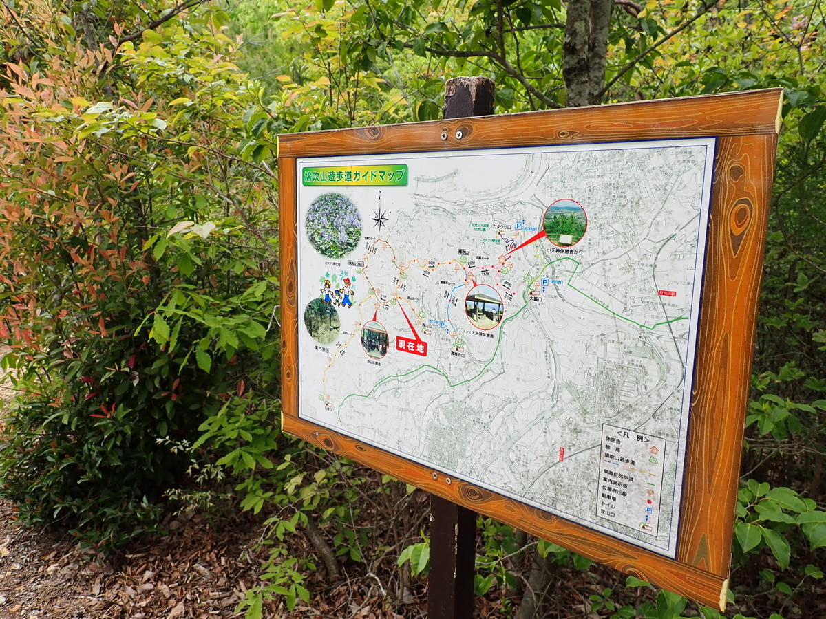 f:id:otonajoshi:20210424113548j:plain