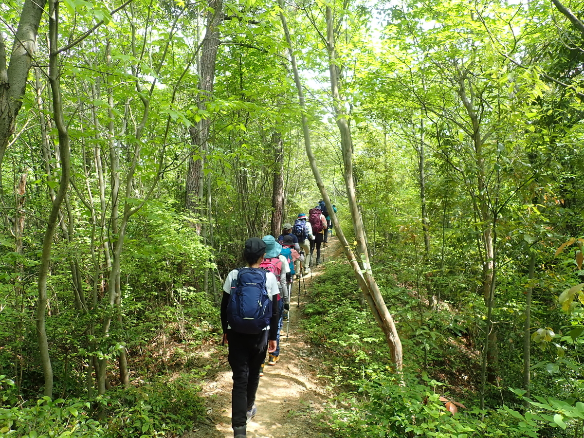 f:id:otonajoshi:20210424132424j:plain