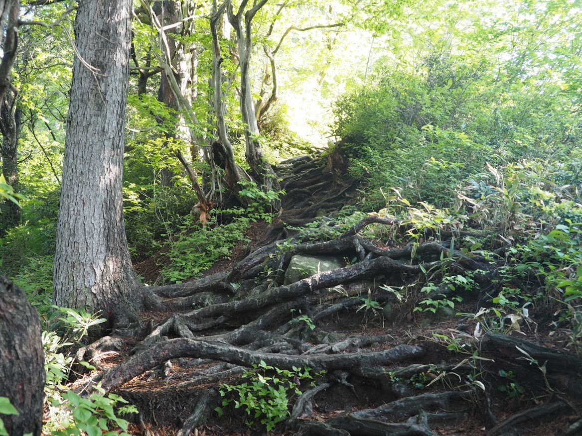 f:id:otonajoshi:20210523152523j:plain