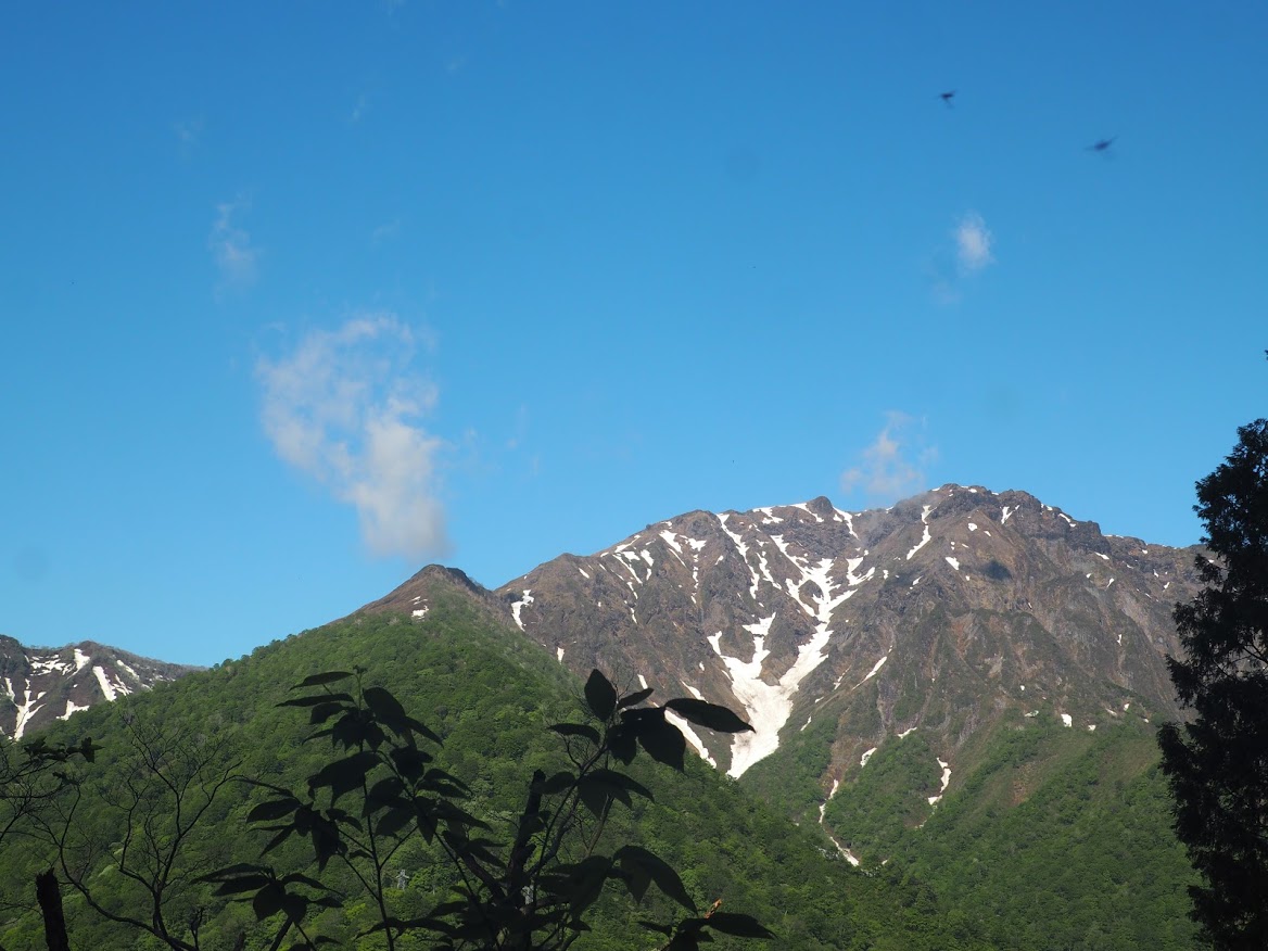 f:id:otonajoshi:20210523153123j:plain