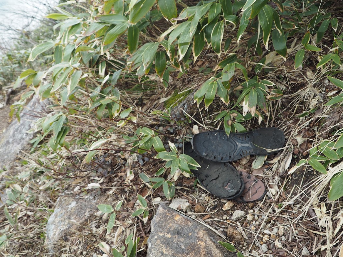 f:id:otonajoshi:20210523155151j:plain