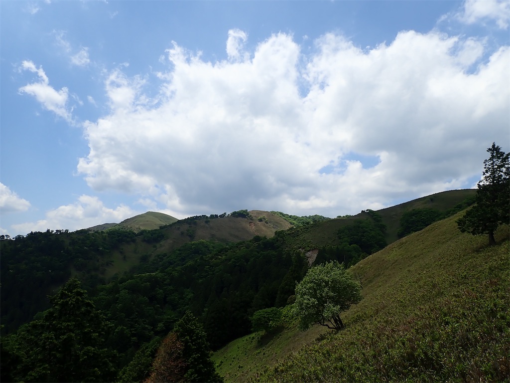 f:id:otonajoshi:20210530135139j:image f:id:otonajoshi:20210530135139j:image