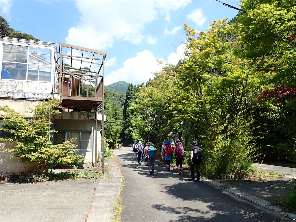 f:id:otonajoshi:20210530135205j:image f:id:otonajoshi:20210530135205j:image