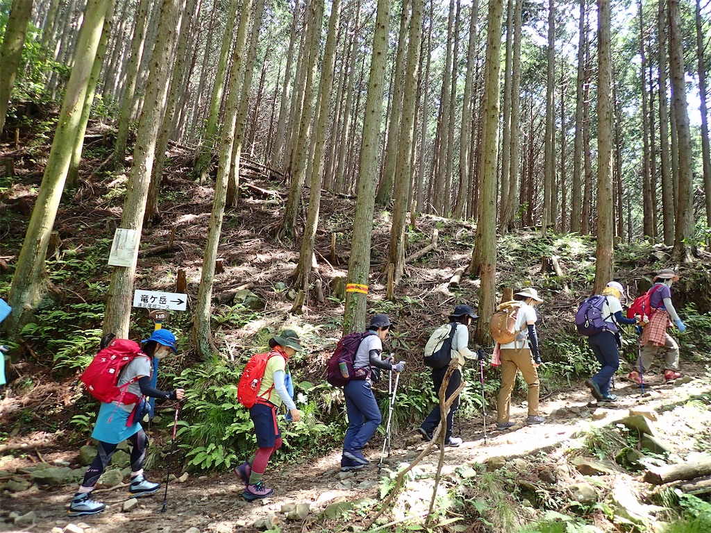 f:id:otonajoshi:20210530135235j:image f:id:otonajoshi:20210530135235j:image